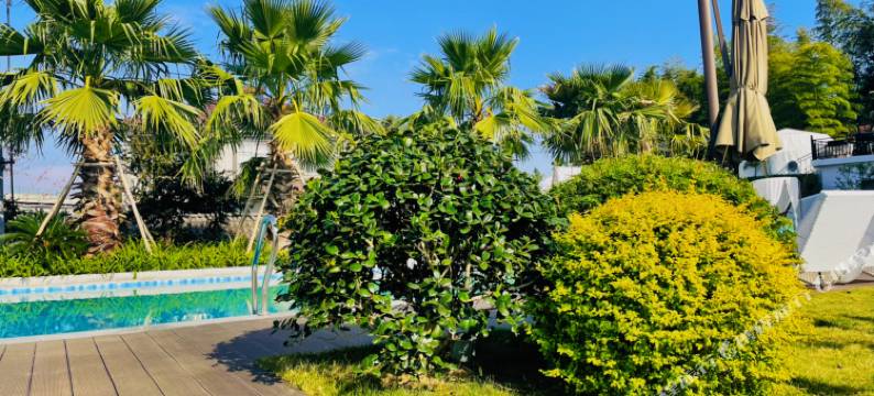 安吉云沁遥·白茶原高奢度假美墅•梅花鹿营地(白茶观景平台店)图片