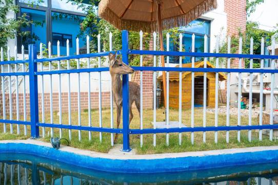 上海宽居云涧花园酒店(松江云间粮仓云间艺术谷店)图片