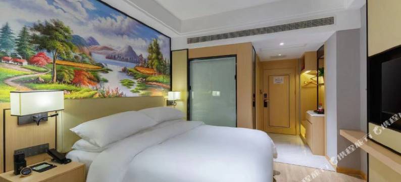 维也纳国际酒店(芜湖方特店)图片