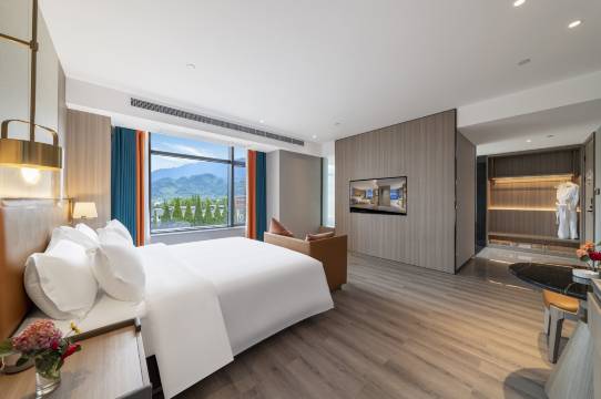 都江堰源东雅居酒店(融创乐园熊猫谷店)图片