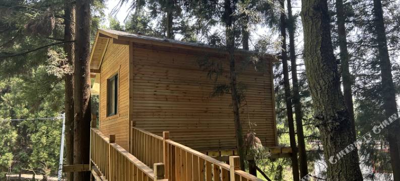 Theshire夏尔森林露营基地图片