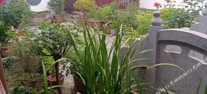 静园居民宿图片