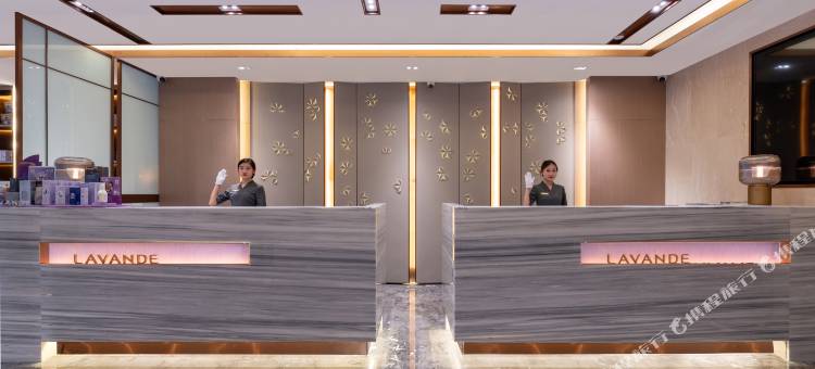 麗枫酒店(新乐石家庄机场河北美院店)图片