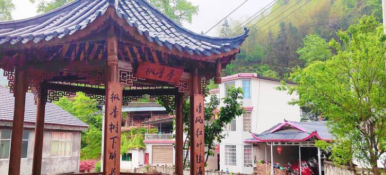 枫香树民宿图片