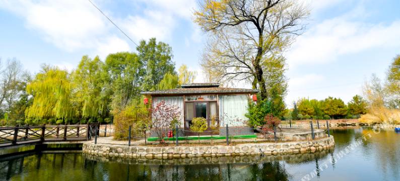 金源泰温泉民宿图片