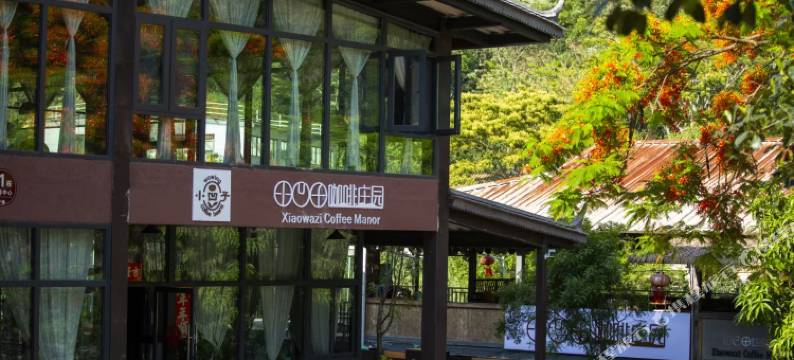 小凹子精品咖啡庄园图片