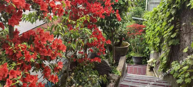 兰花园宾馆图片