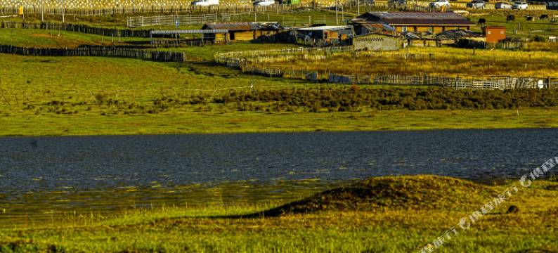 木里长海隐柏酒店图片