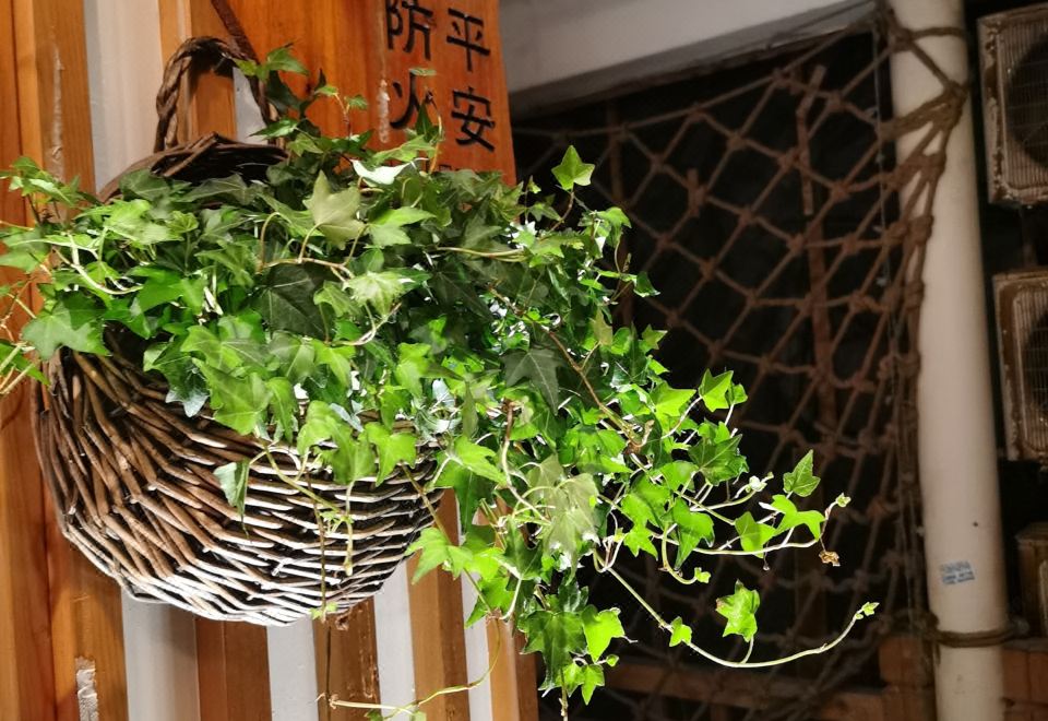 Xijiangshan Bianmeisu (Observation Deck) Hotel Overview