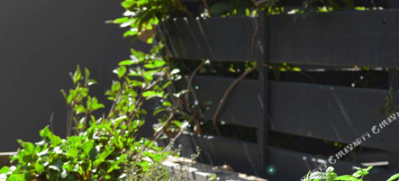 普拉兰奎斯特酒店(Quest Prahran)图片