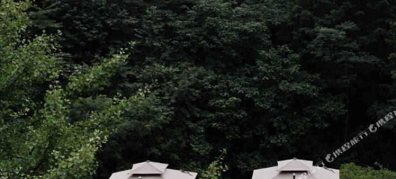 青城山雅上一宿酒店 · Yepsun Villa (都江堰青城后山泰安古镇店)图片