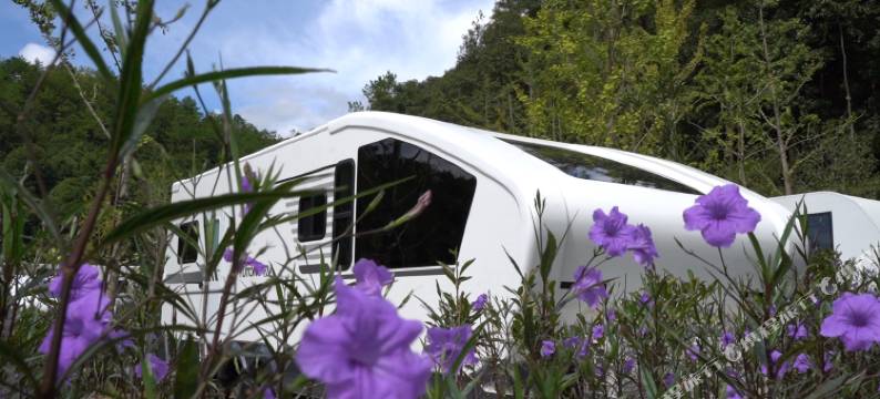 三百山镇映翠湖部落酒店图片