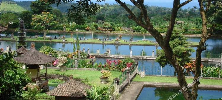 蒂塔冈加水宫别墅(Tirtagangga Water Palace Villas)图片