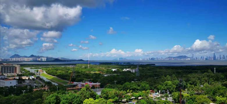 深圳福田红树林希尔顿欢朋公寓图片