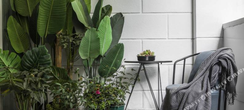 意巷莱恩酒店(成都双流国际机场店)图片