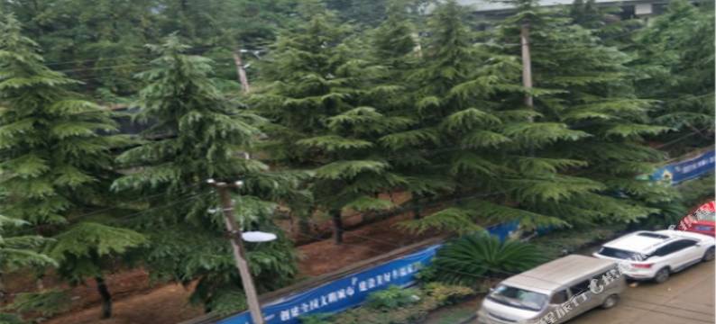 武汉美境公寓(华夏理工学院店)图片