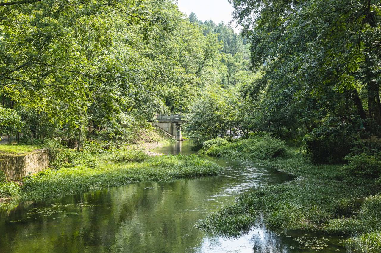 花筑·池州十二时辰民宿(九华天池店)图片