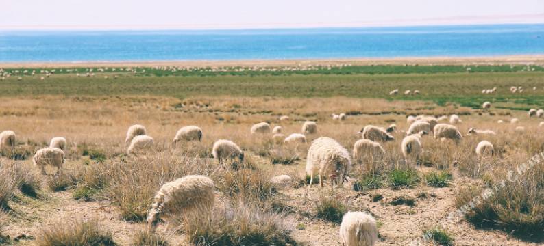 盐尚·茶卡盐湖木屋庭院民宿图片