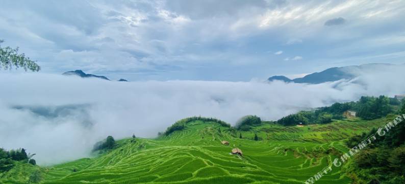 云梯小筑·中式原木风观山景休闲度假 Villa 民宿(云和梯田景区店)图片