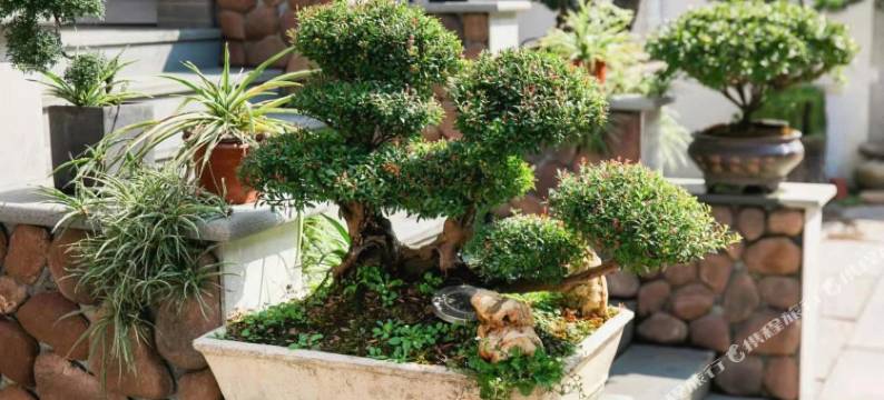 安吉灵峰山厂民宿图片