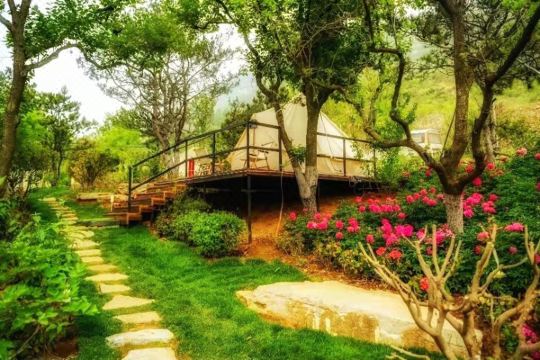 空谷花园星空帐篷营地预订价格,联系电话位置地址【携程酒店】