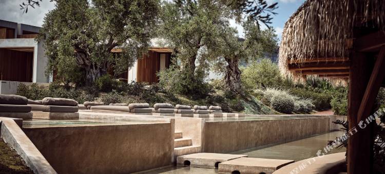 奥莱亚全套房酒店(Olea All Suite Hotel, a Member of Design Hotels)图片