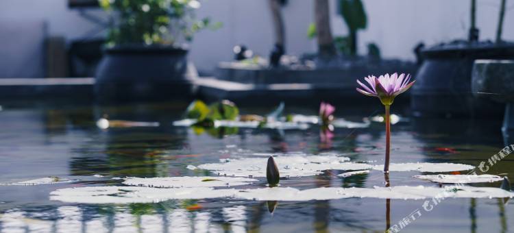 佛山情怀故事民宿(顺德华侨城欢乐海岸PLUS店)图片