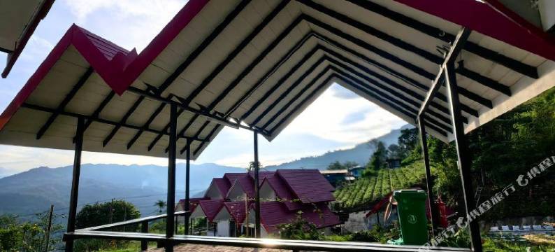 Kundasang Mount Garden图片