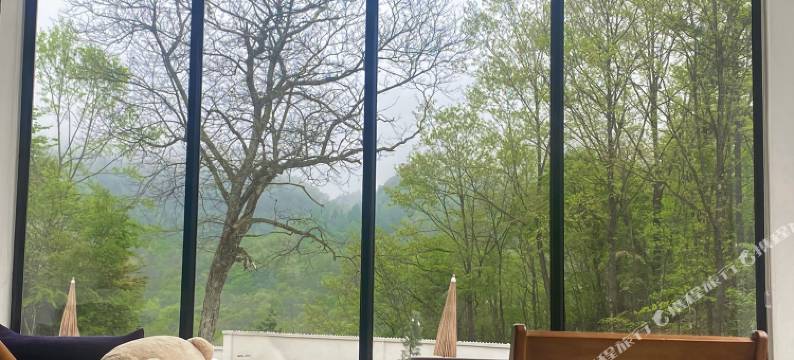 M·+院里树下民宿(绿葱坡镇店)图片