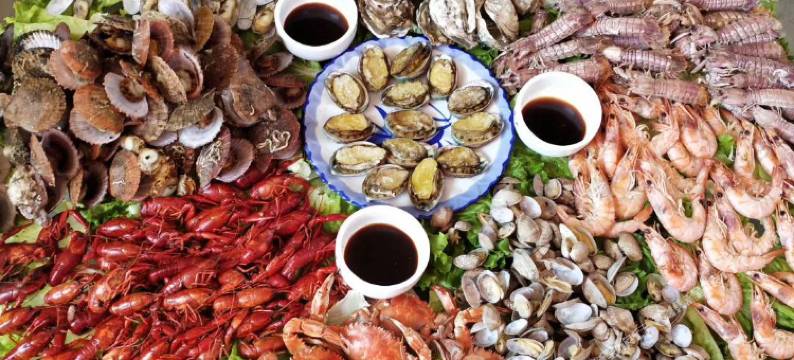 沿海渔家院民宿图片