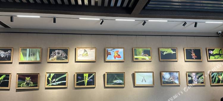 小凹子精品咖啡庄园图片