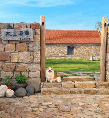 大黑山岛不止有海民宿