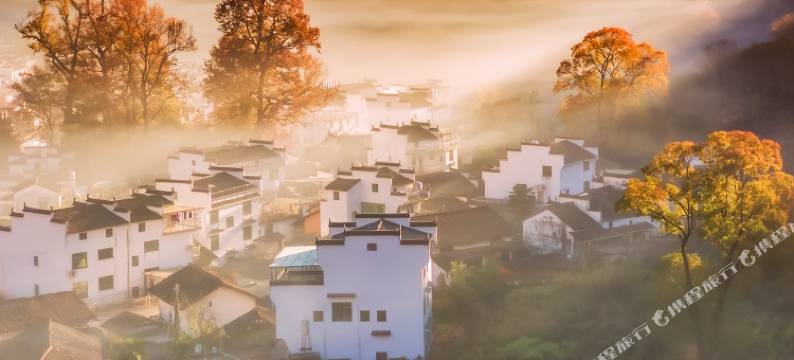 婺源石城古树农庄图片