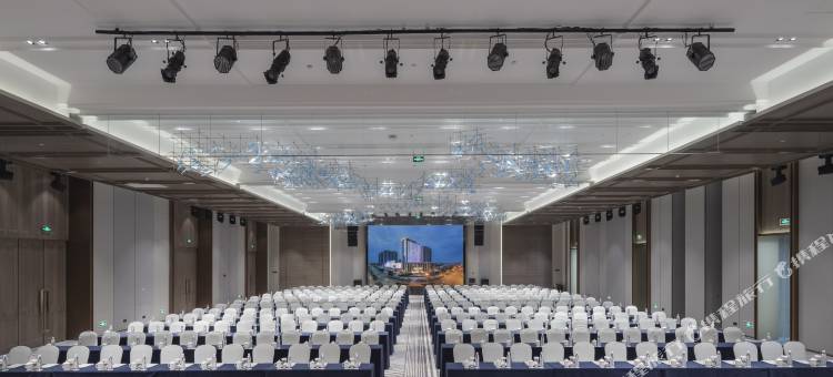 六安新锦成开元名都酒店图片