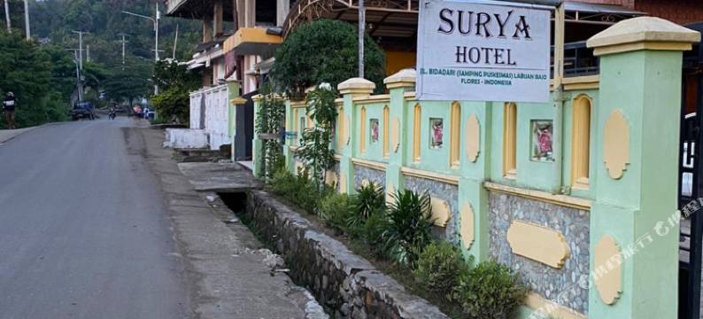 Surya宫殿Syariah(Surya Palace Syariah)图片