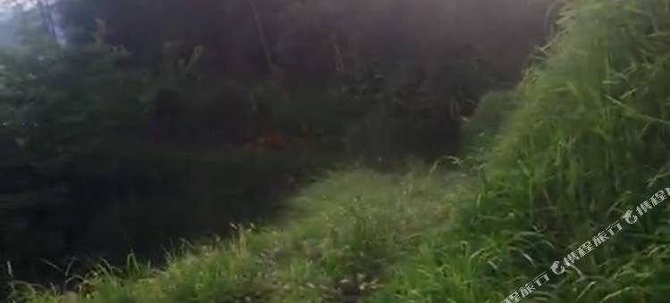 桂东湘湖避暑山庄图片