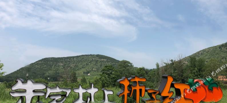 沂南朱家林原舍柿家图片