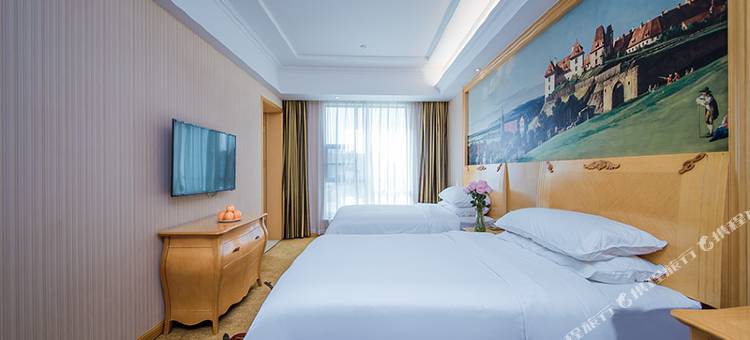 维也纳酒店(襄阳钻石大道二汽店)图片