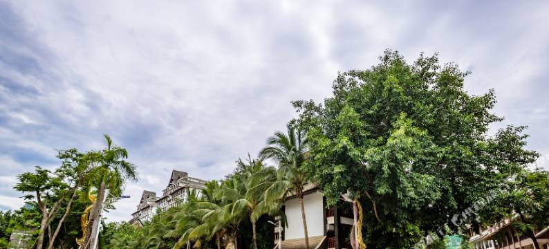 西双版纳景洪青橄榄客栈(告庄西双景星光夜市店)图片