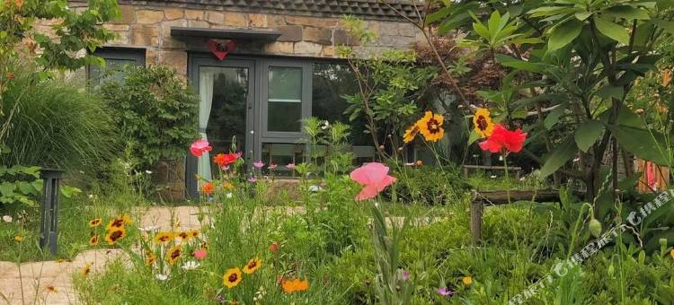 日照安泰渔港村落民宿(岚山海上碑店)图片