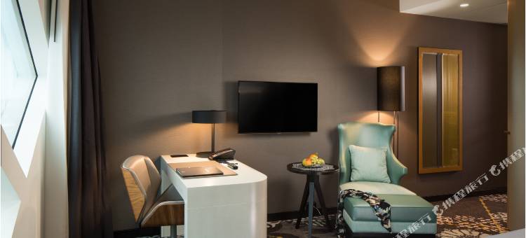 阿姆斯特丹史基浦机场希尔顿酒店(Hilton Amsterdam Airport Schiphol)图片