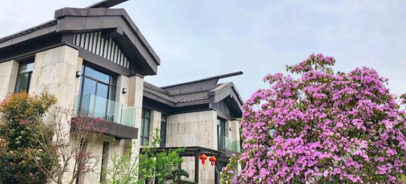 丽水古堰蓝庭酒店图片