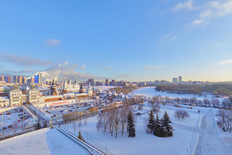 Hotel Izmailovo Delta Hotel Overview