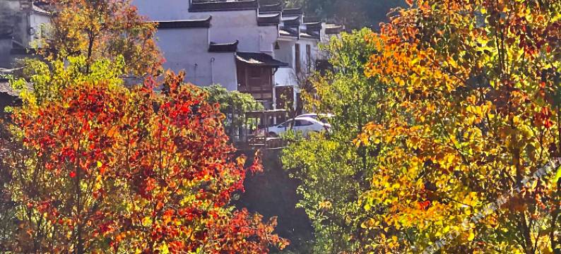 宏村.美丽山居客栈(塔川店)图片
