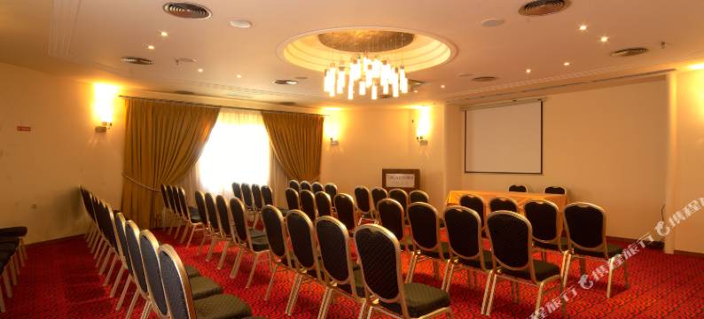 塞亚泰米斯宫殿酒店(Theartemis Palace)图片