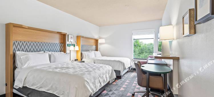 圣彼得堡西假日酒店(Holiday Inn ST. Petersburg West)图片