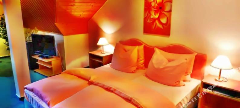 沃尔兹罗森公园酒店(Parkhotel Waldschlösschen)图片