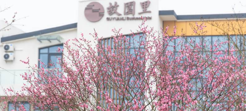 婺女洲度假区故园里酒店图片