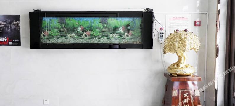 北安夏威夷假日宾馆图片