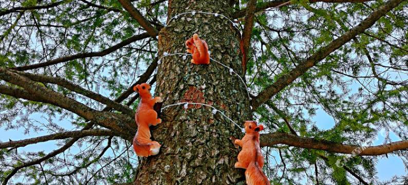 安吉花蔓·梦里云境民宿图片